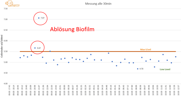 Abloesung_Biofilm